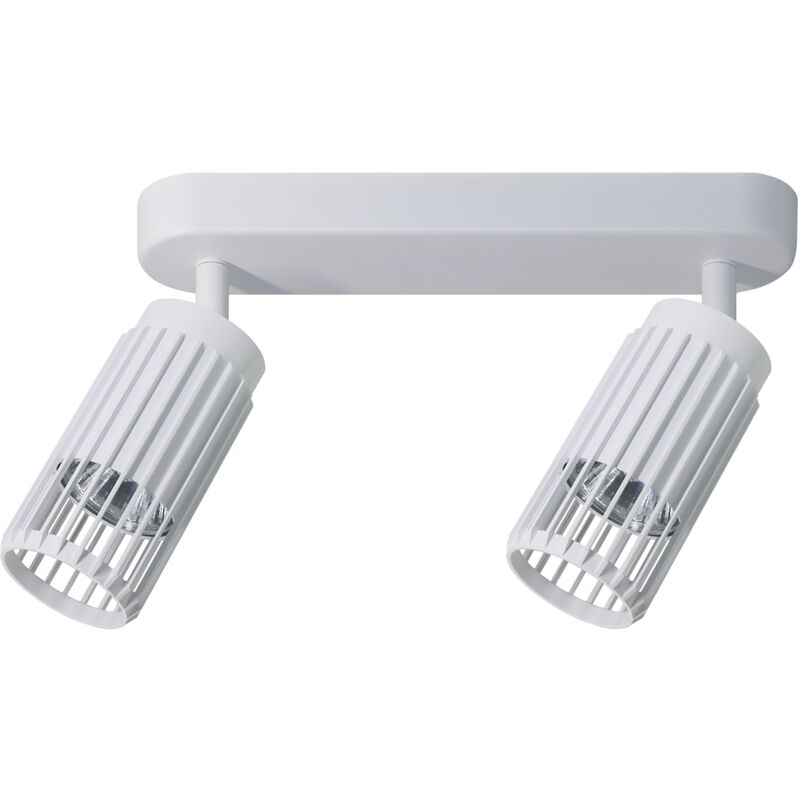 foto del prodotto spot bianco verticale 2xgu10