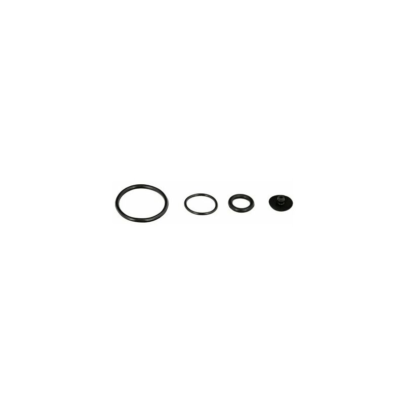 foto del prodotto spruzzatore anelli 2 litri 08052105 wolfpack