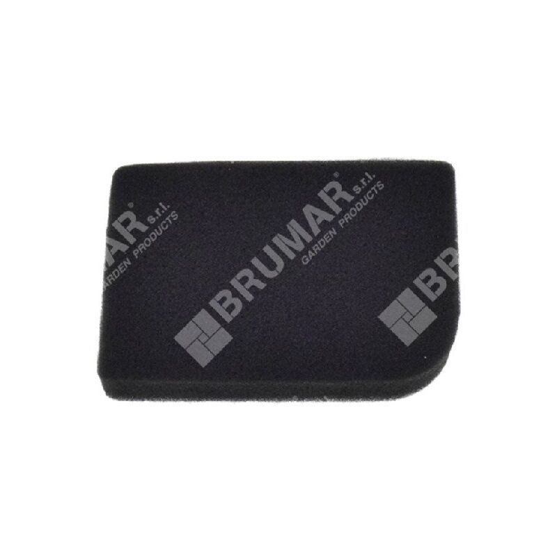 foto del prodotto spugna filtro aria per motozappe progreen 050837