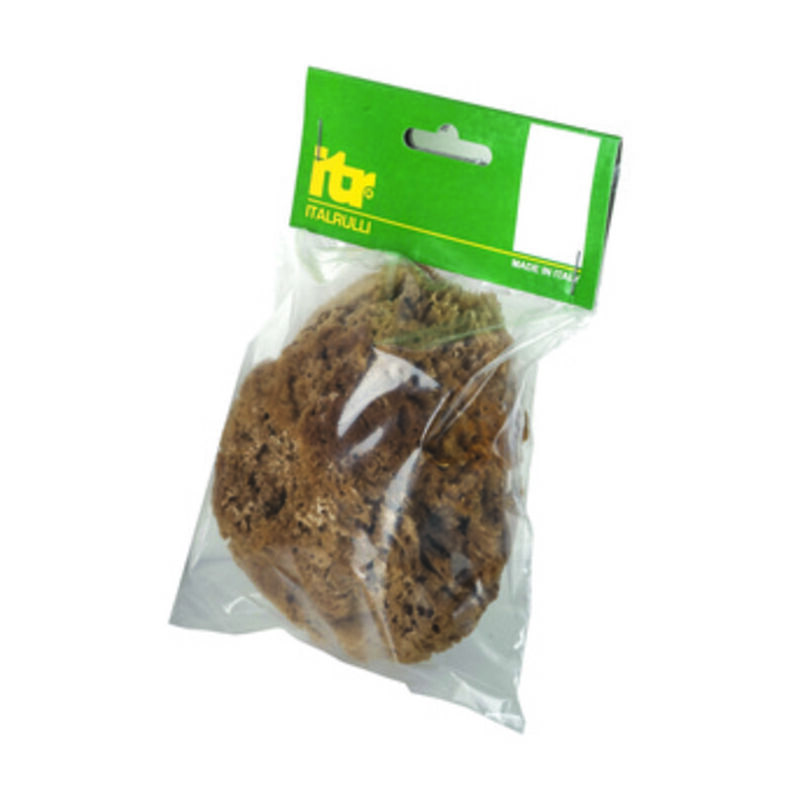 foto del prodotto spugna marina naturale cm.14 per pitture