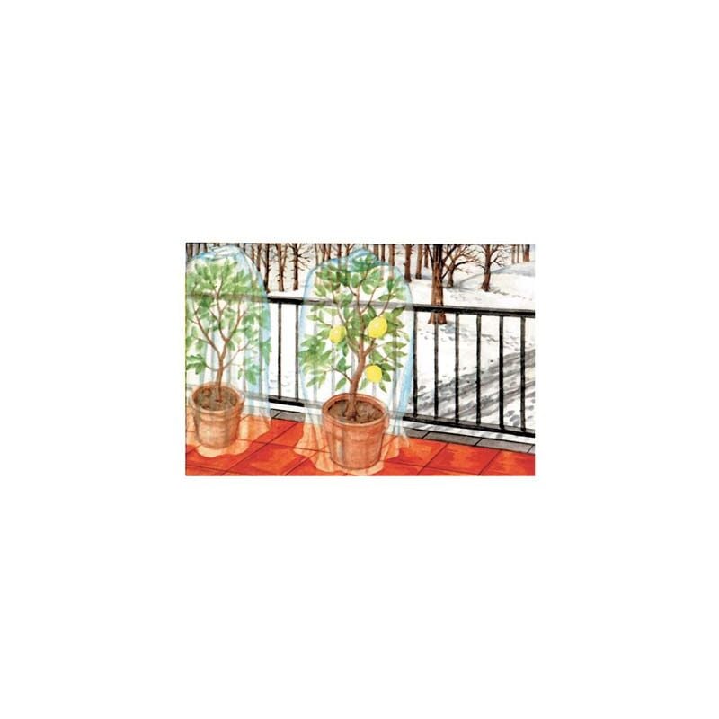 foto del prodotto stars cappuccio antigelo tnt protezione piante bianco gr mq 17 cf pz 3 cm 150 h.cm 180