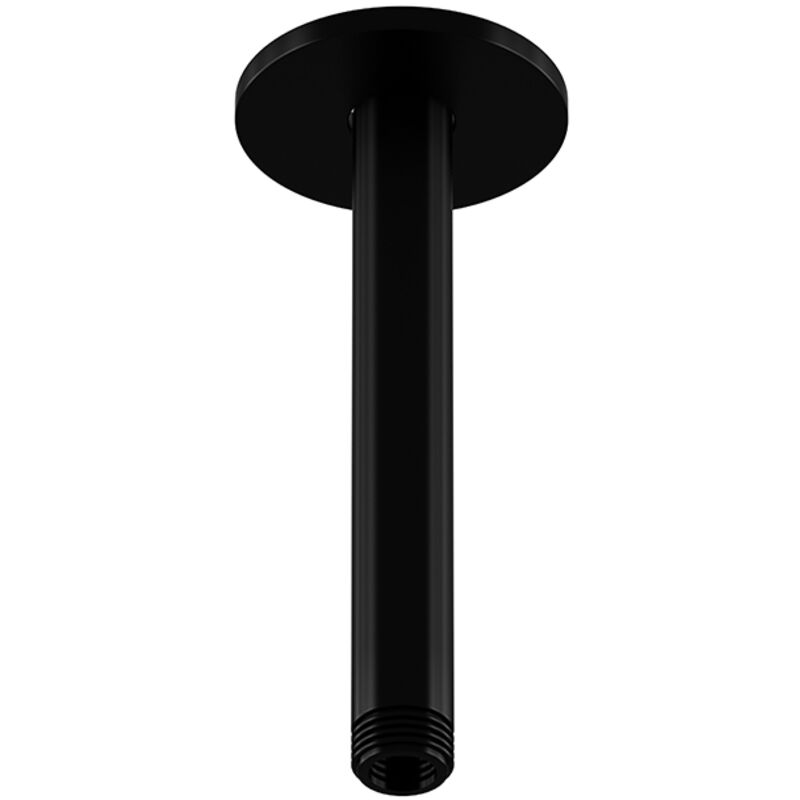 foto del prodotto steinberg s rie 100 bras de douche, montage au plafond, 120mm,