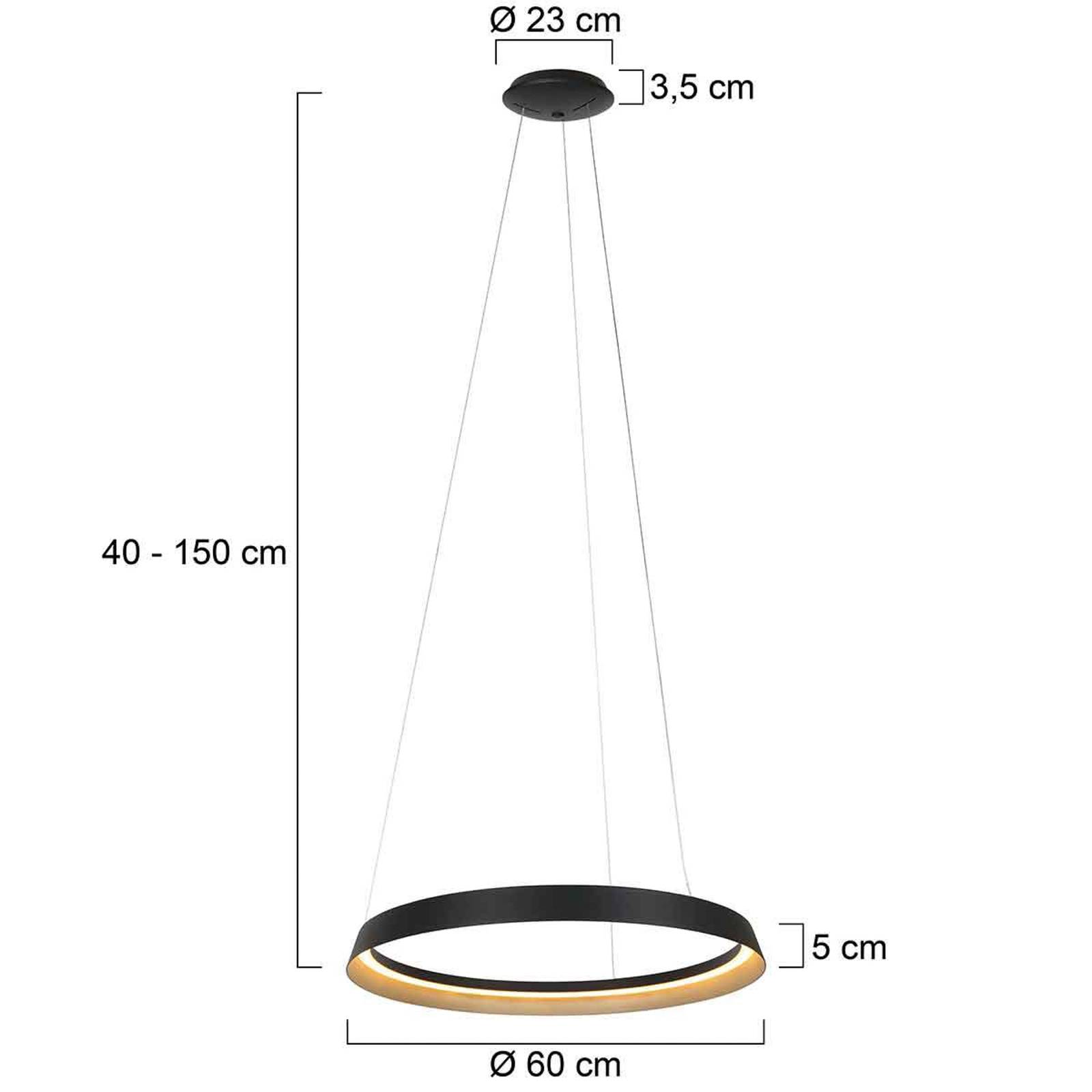 immagine 0 del prodotto steinhauer lampada a sospensione ringlux led, a 1 luce, nero, metallo