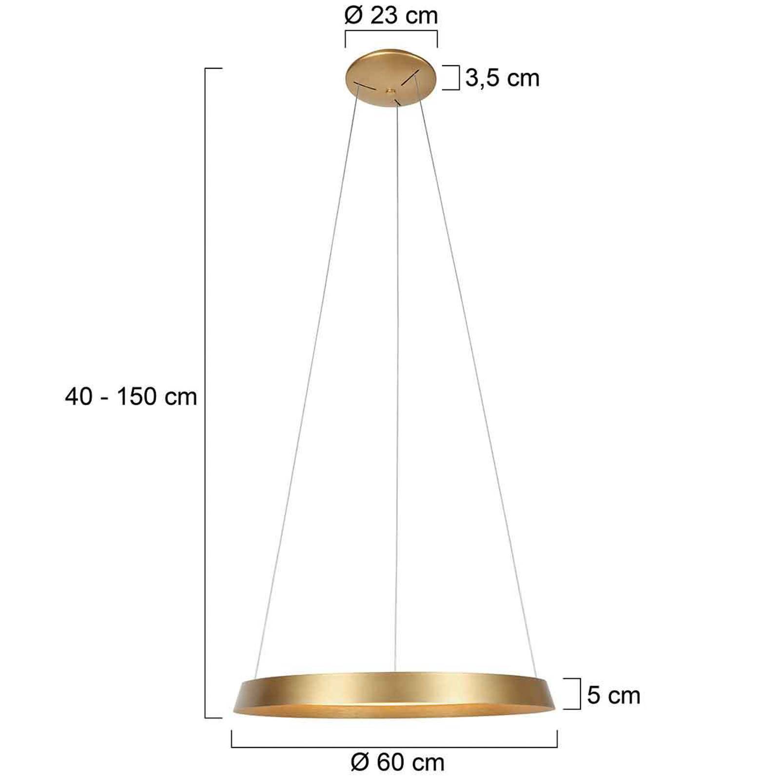 immagine 0 del prodotto steinhauer lampada led a sospensione ringlux, a 1 luce, color oro, metallo