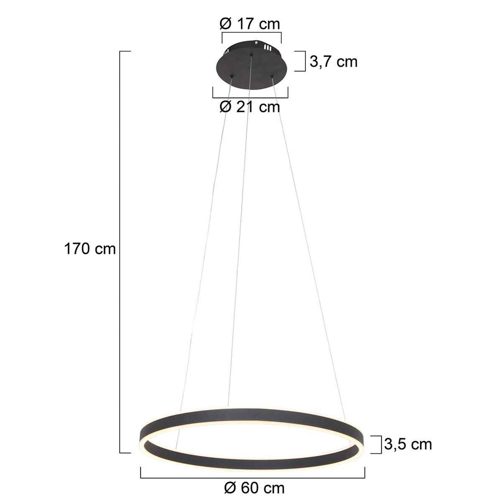 foto del prodotto steinhauer ringlux lampada led sospensione 60cm 2 luci nero