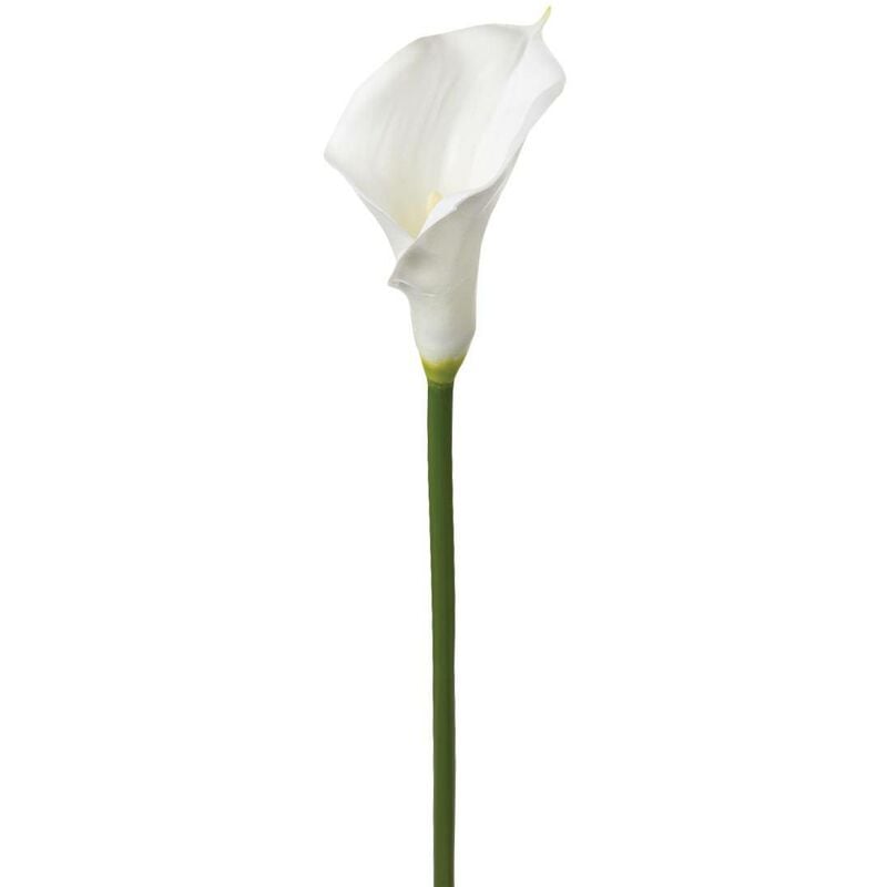 foto del prodotto stelo di arum artificiale bianco h75cm atmosphera cr ateur d int rieur