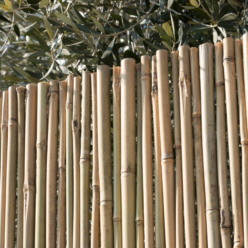 foto del prodotto sti arella canna passante recinzione coperture divisori ombreggiante 100x300cm
