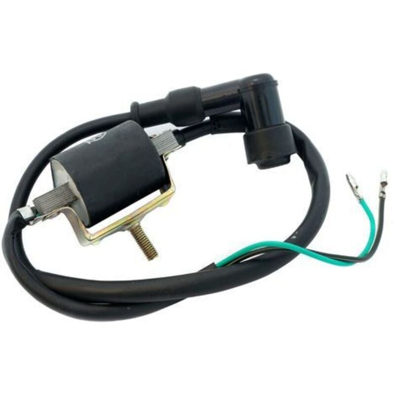foto del prodotto sti - bobina accensione standard per pitbike 50cc 125cc
