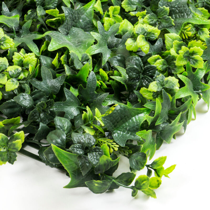 foto del prodotto sti siepe sintetica sempreverde mix edera ilex lonicera 50x100cm