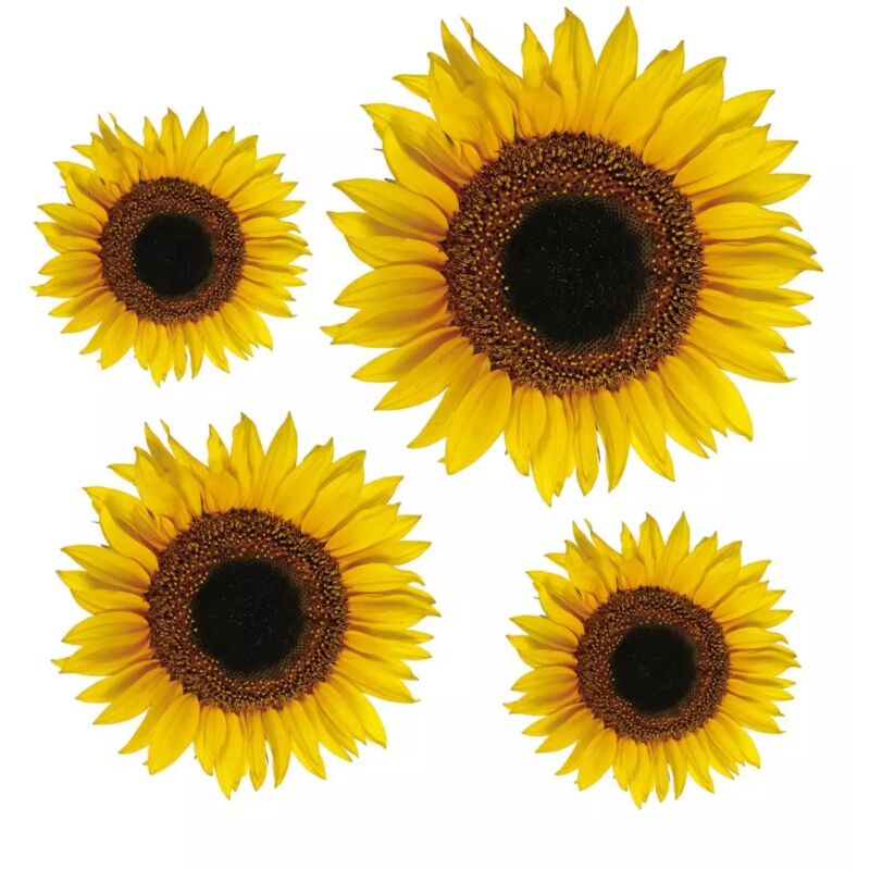 foto del prodotto stickers m girasoli decoro crearreda.