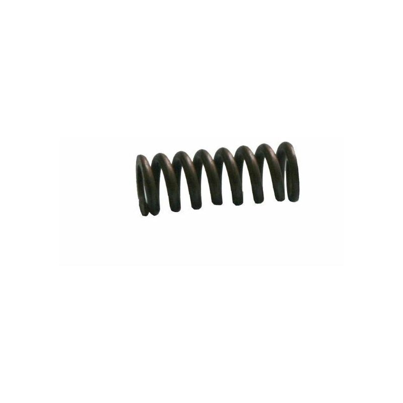 foto del prodotto stiga molla leva innesto lama trattorino rasaerba compatibile ggp twin cut 456009