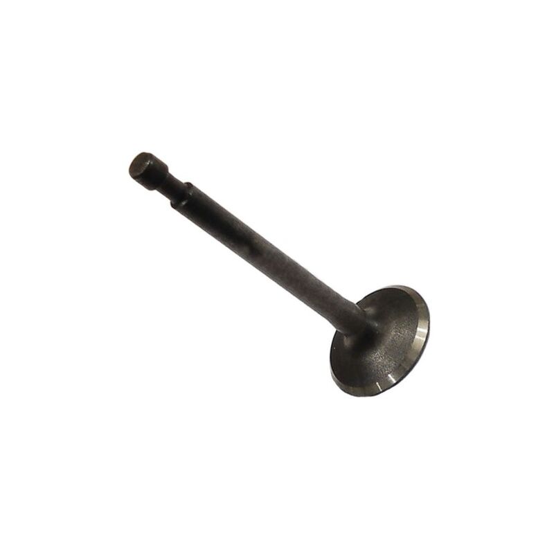foto del prodotto stihl valvola decompressione cilindro decespugliatore originale 41800252003