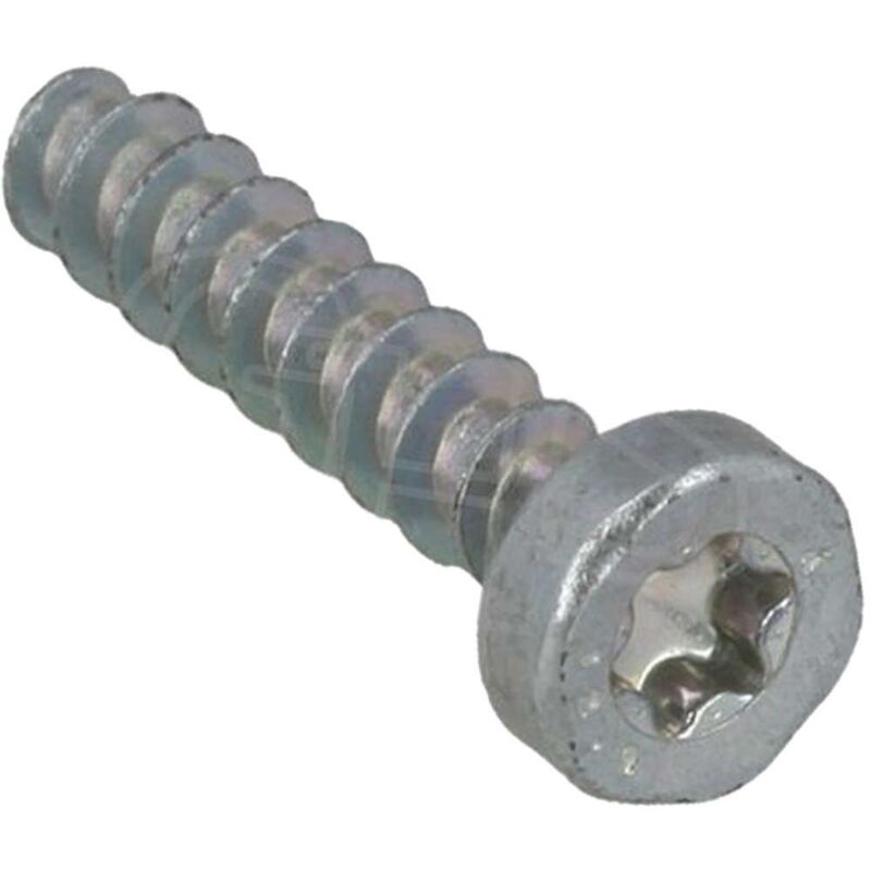foto del prodotto stihl vite per lamiera is p4x19 90744783076 originale 9074 478 3076