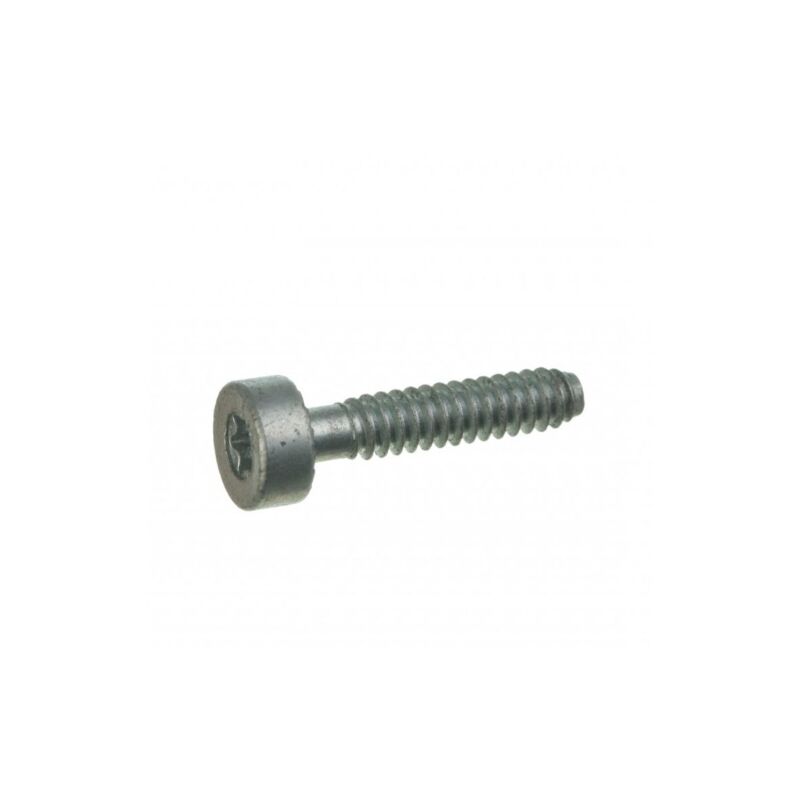 foto del prodotto stihl vite per plastica is d5x24 motosega modelli ms162 originale 90754784159