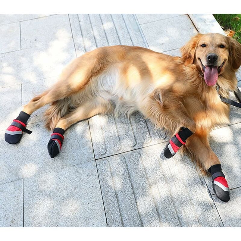 foto del prodotto stivali per cani scarpe traspiranti pantofole impermeabili antiscivolo con riflettente escursionismo viaggio in montagna