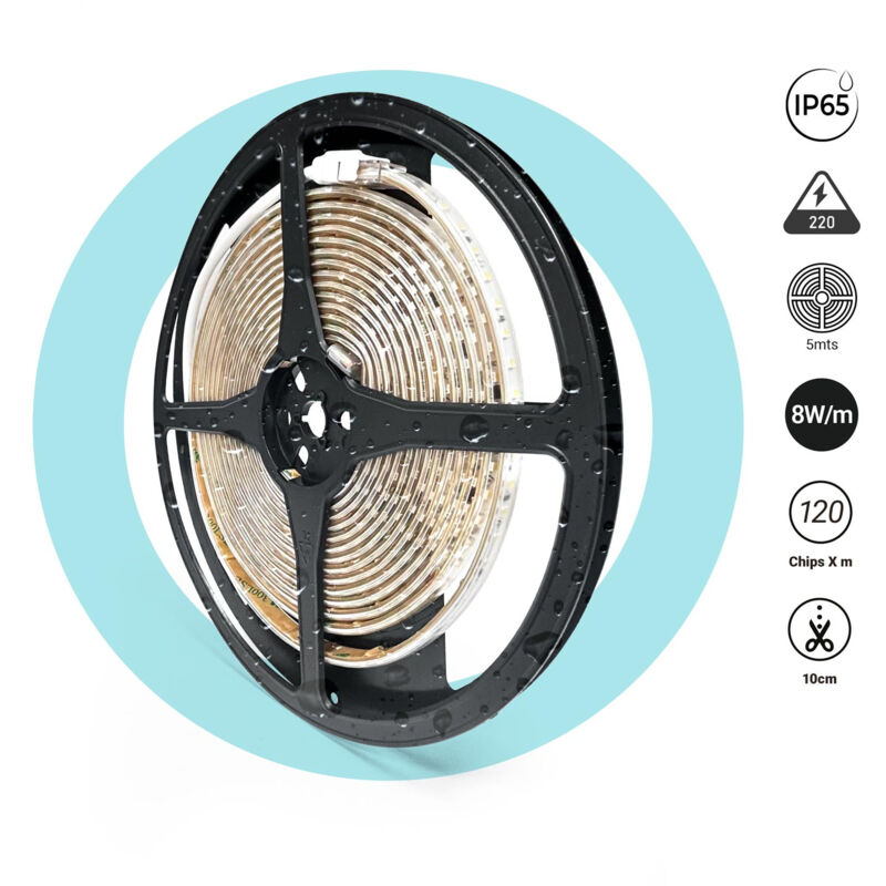 foto del prodotto striscia led 220v ac monocromatica 8w m 10mm ip65 5 bianco freddo