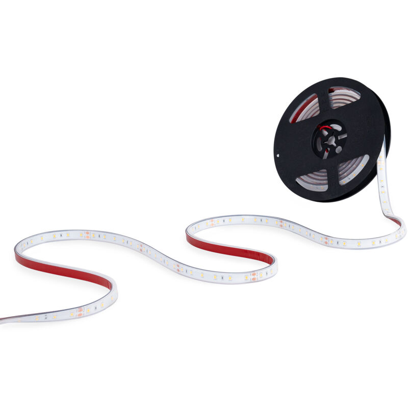 foto del prodotto striscia led 24v dc 12w m monocolore 12mm ip67 5 metri