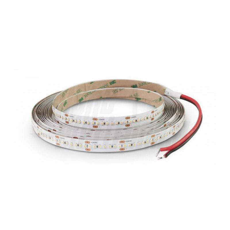 foto del prodotto striscia led 266 led m 2216 24vdc 19,2w m bianco caldo alpha elettronica jo35019241w1
