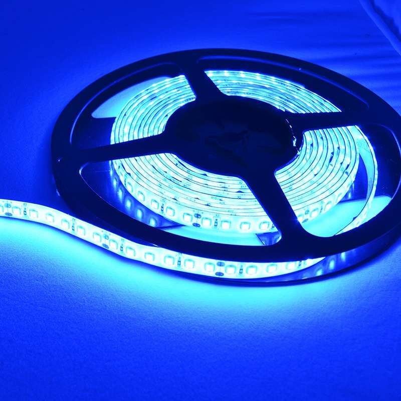 foto del prodotto striscia led potente 120 led m 9,6w m ip65 5m luce blu