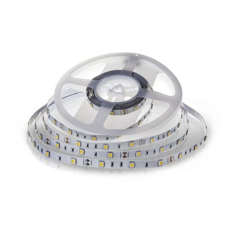 foto del prodotto striscia smd5050 30 led m bianco freddo ip20 6000k luce fredda