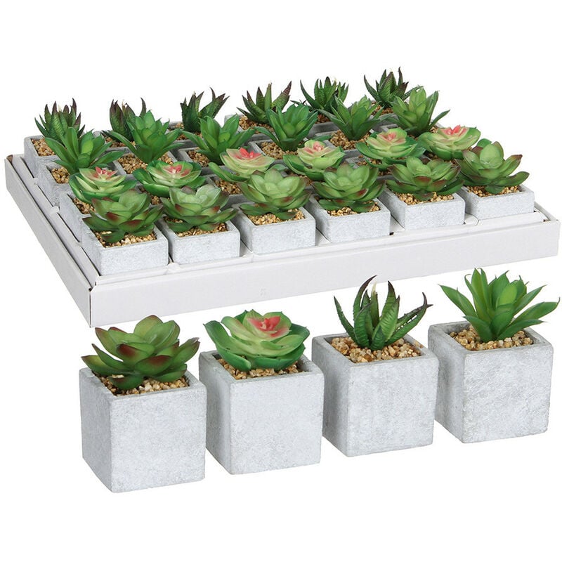 foto del prodotto succulente verde 4 modelli assortiti effetto naturale 8x5cm pvc