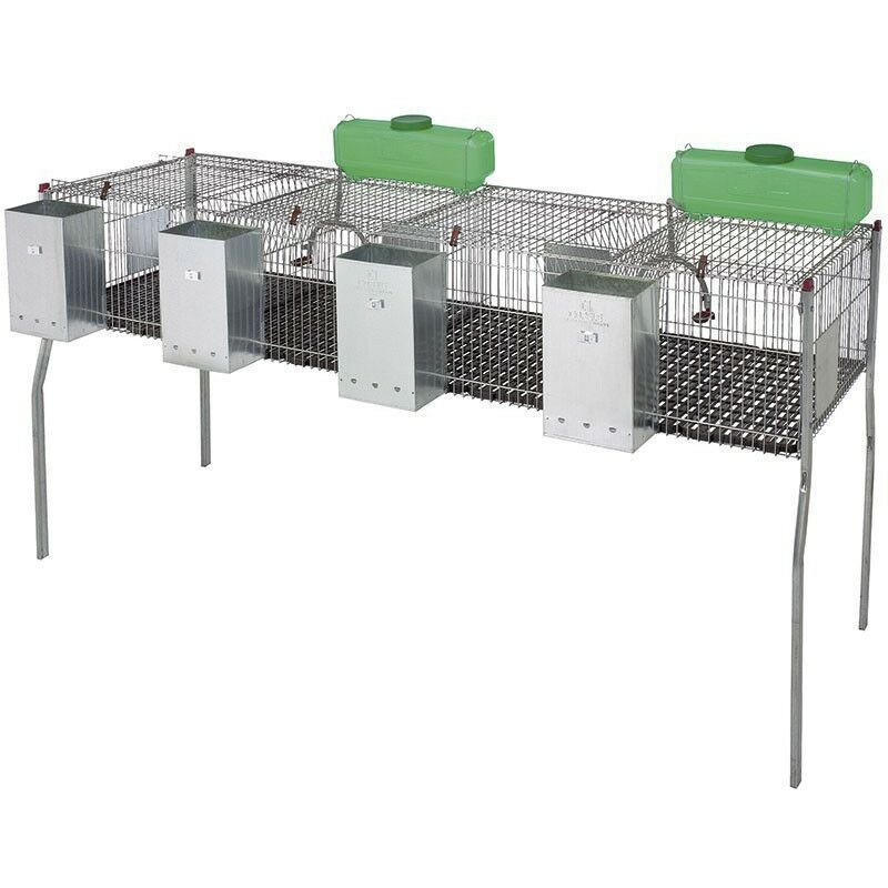 foto del prodotto suinga gabbia per conigli a 4 scomparti con pavimento in plastica 200 x 62 x 99 cm dotata di tramogge e abbeveratoi.