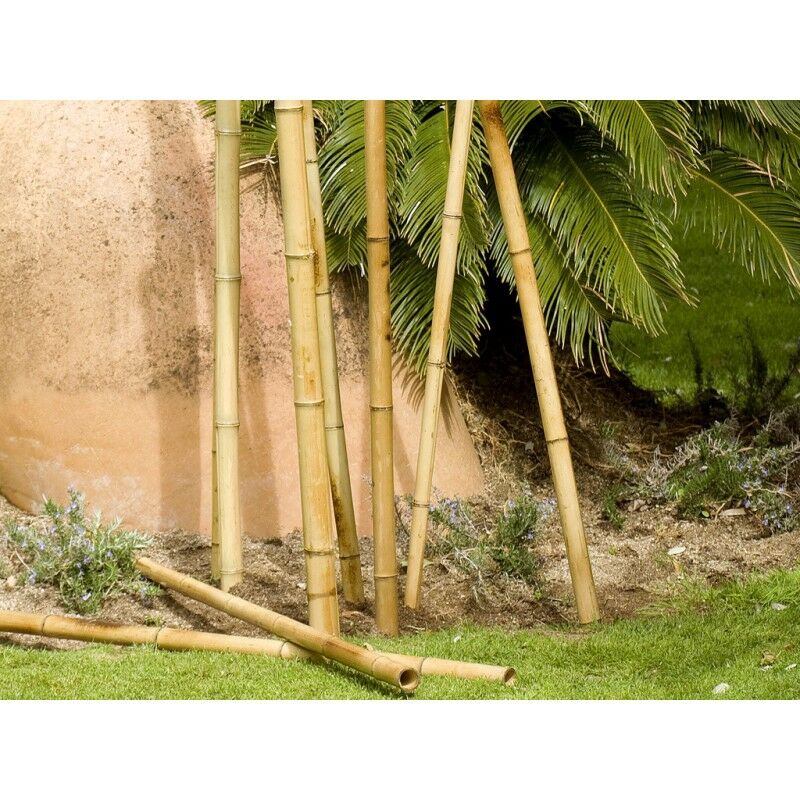 foto del prodotto suinga set di 10 canne di bamb decorativi in bamb da 180 cm, 35 40 mm, tutori rotondi in legno, paletti da giardino, separazione