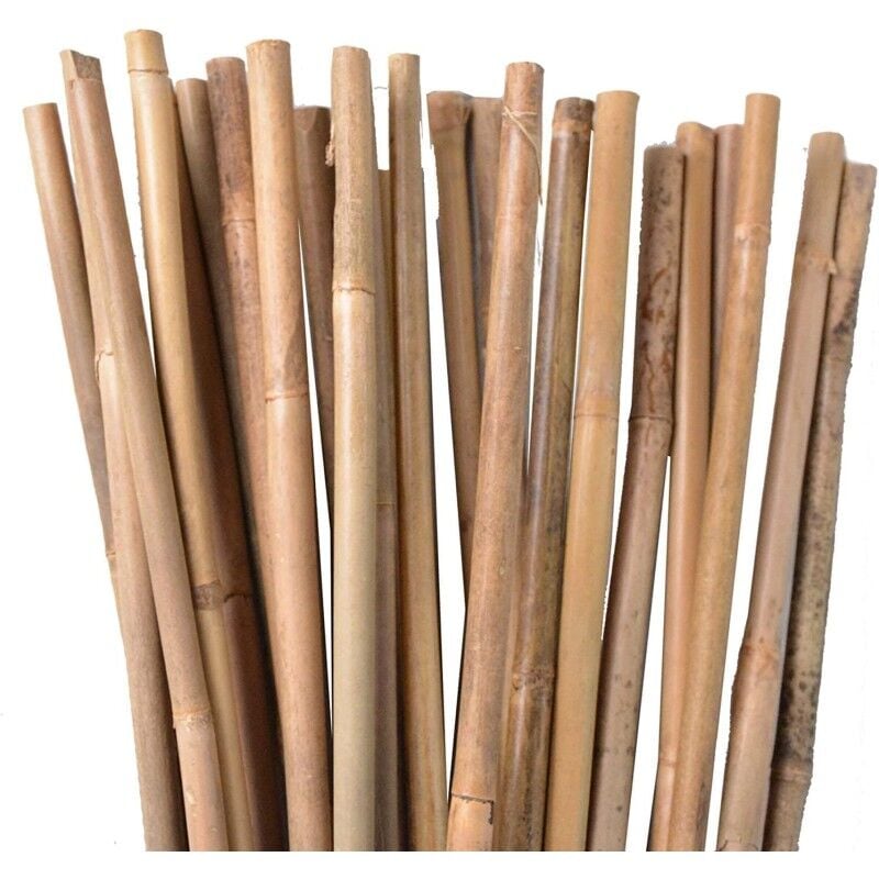 foto del prodotto suinga set di 500 tutori in bamb per piante 150 cm 8 10 mm canne di bamb , supporti per ortaggi, pomodori, alberi e giardinaggio