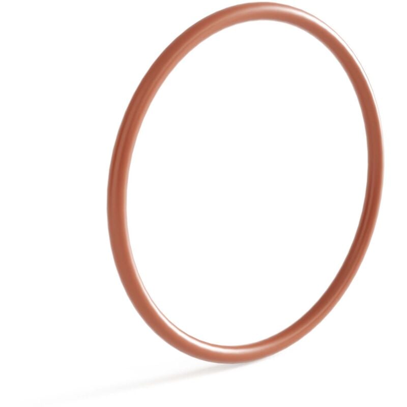 foto del prodotto sunsun anello o ring 1 di ricambio per chiarificatore per laghetti cuv 155