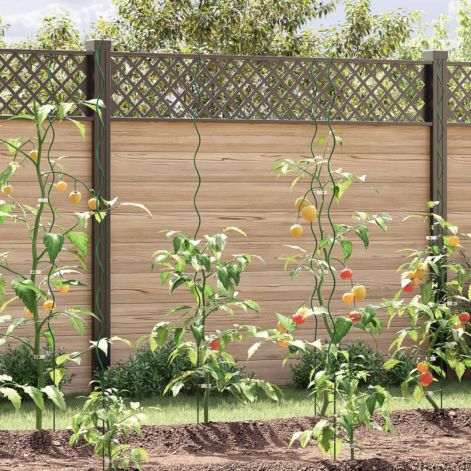 foto del prodotto supporti a spirale per piante - 50 pezzi da 170 cm in acciaio