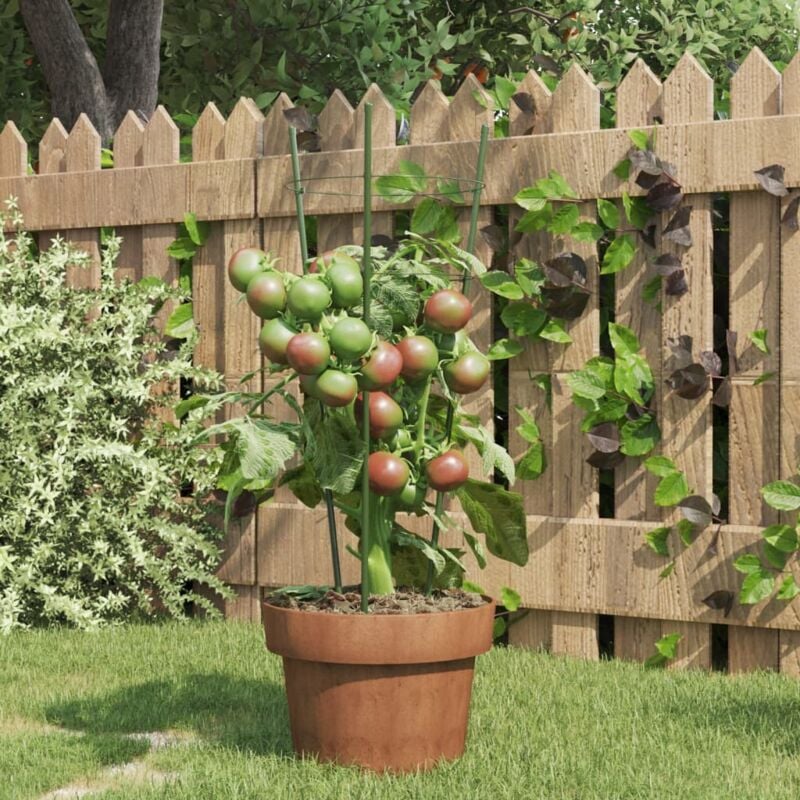 foto del prodotto supporti piante da giardino con 3 anelli 5pz verde 45cm acciaio - vidaxl