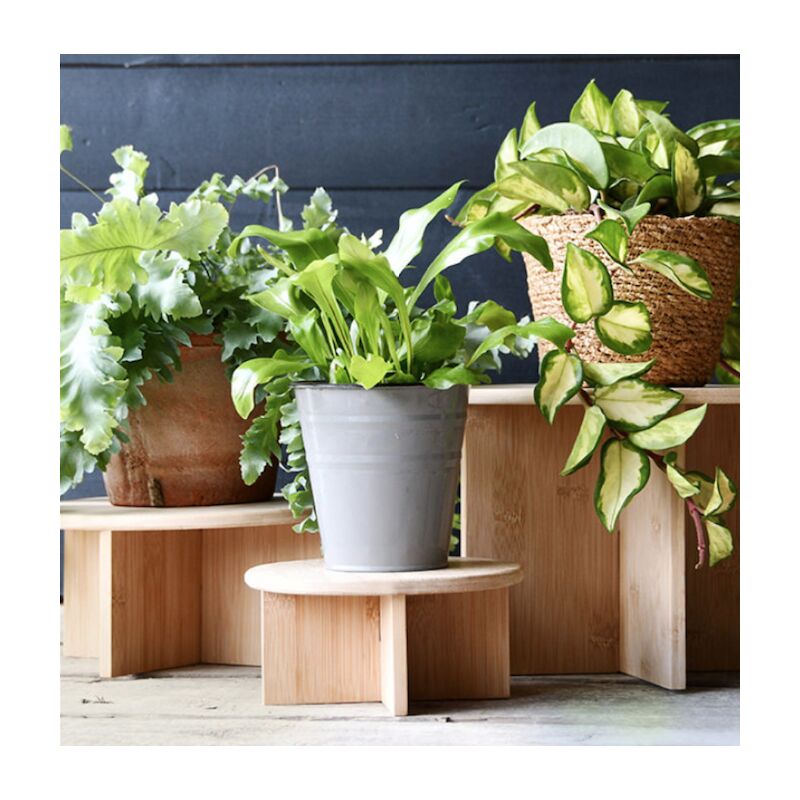 foto del prodotto supporto alza vaso in bambu diam. 25 cm