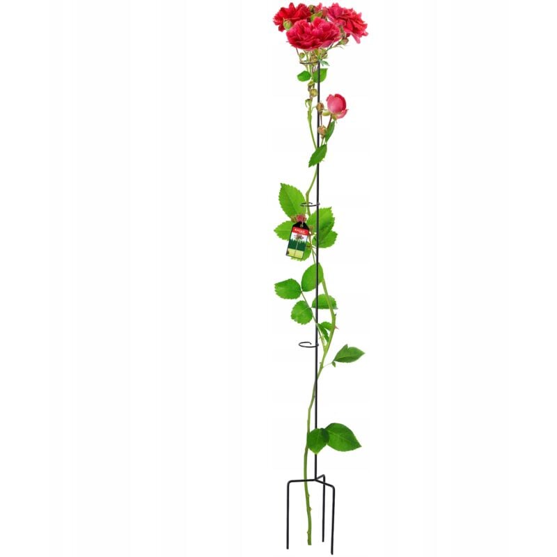 foto del prodotto supporto per fiori kadax in acciaio con clip per rose 140 cm