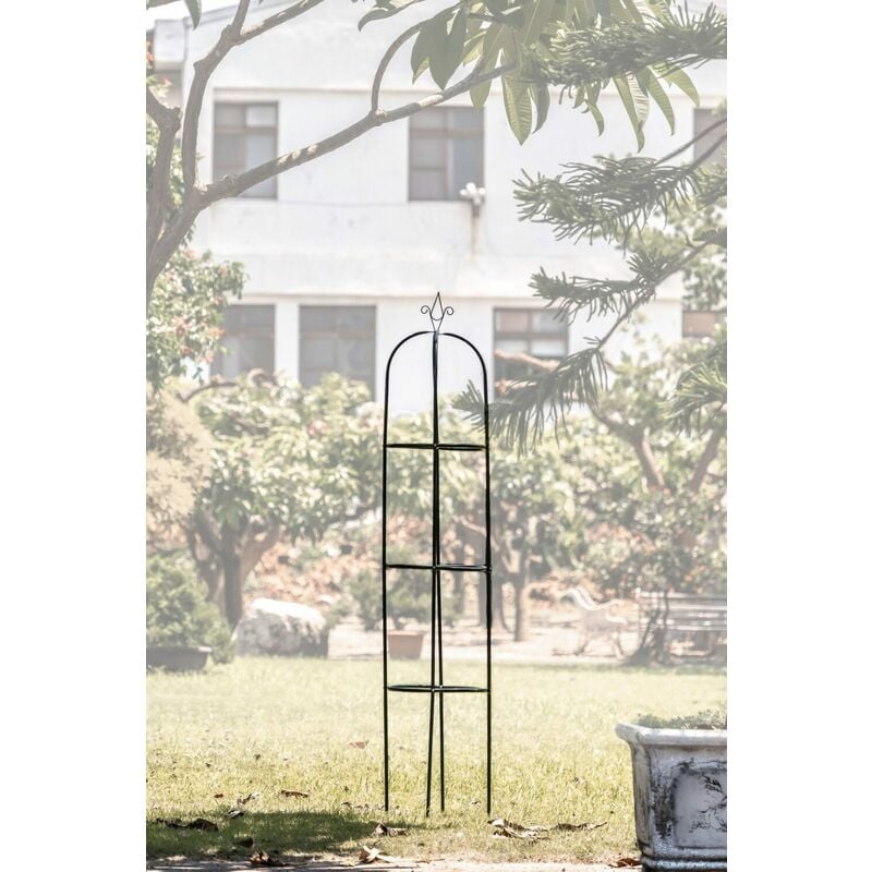 foto del prodotto supporto per piante che devono crescere - vert