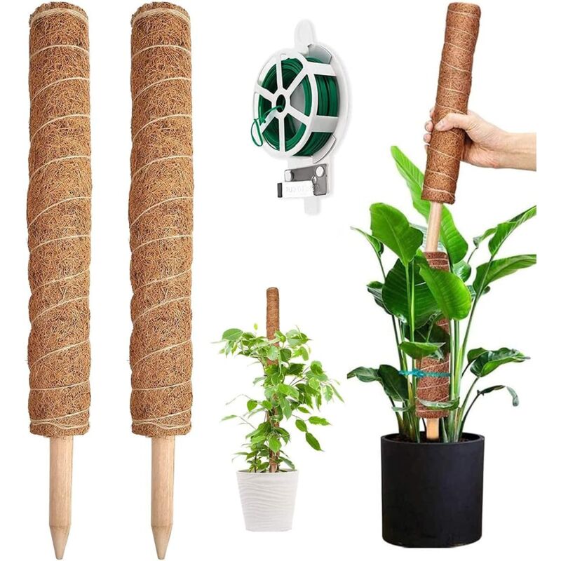 foto del prodotto supporto per piante di cocco, 2 pezzi da 41 cm per piante rampicanti, ideale per monstera e giardino