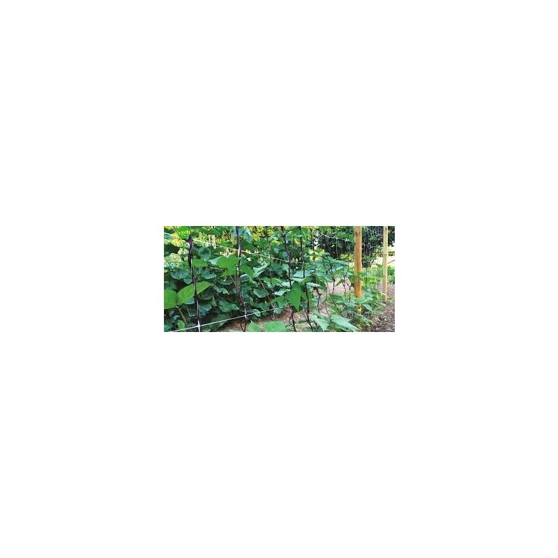 foto del prodotto supporto piante steel up 11x150 cm