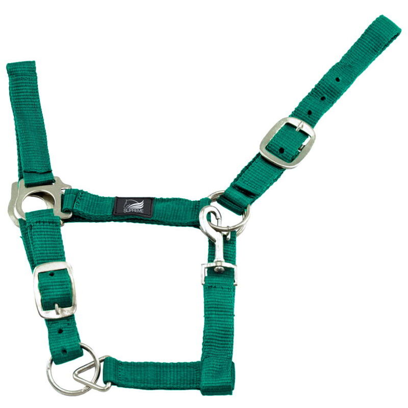 foto del prodotto supreme cavezza in nylon doppia regolazione e moschettone extra full, verde prato