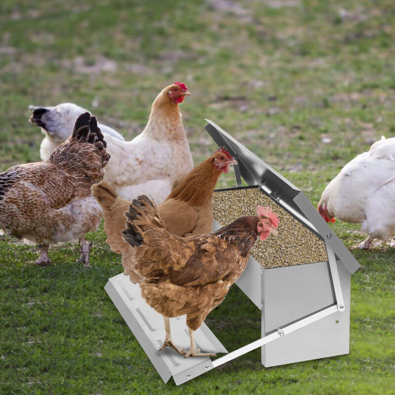 foto del prodotto swanew mangeoire automatico per poules capacit 5 kg alimentazione automatica per volailles. poules. canards