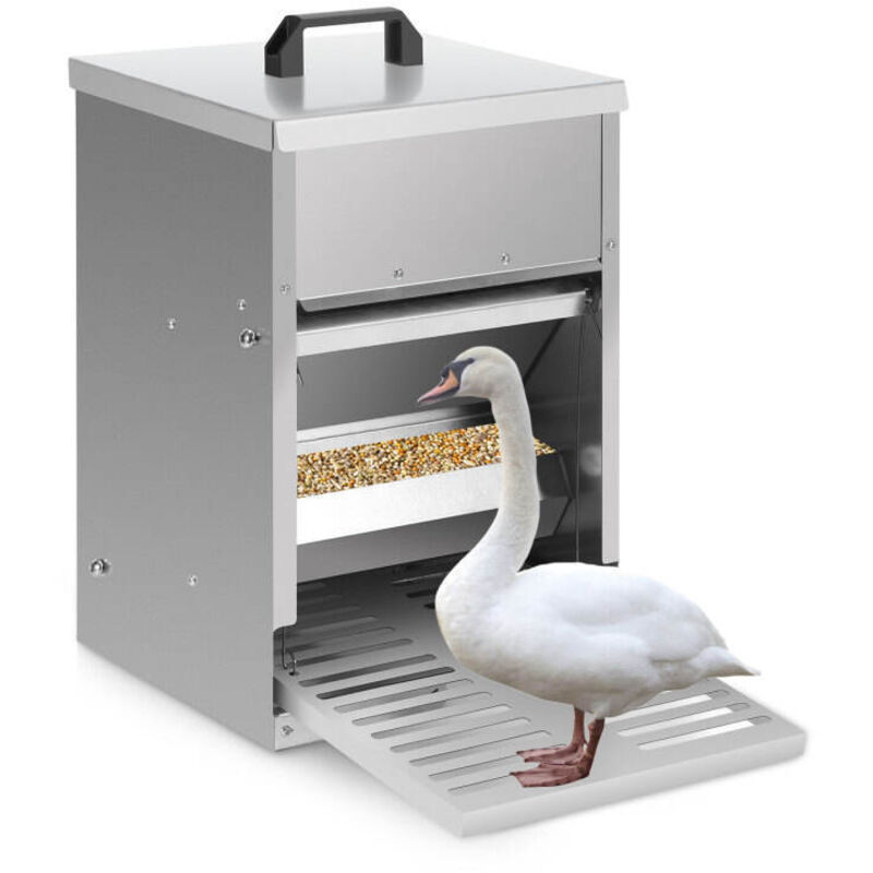 foto del prodotto swanew mangiatoia per polli capacit 5 kg, acciaio zincato, mangiatoia a pedale, mangiatoia automatica con coperchio