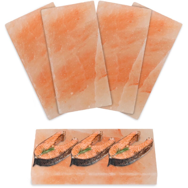foto del prodotto swanew piatto di sale per pesce alla griglia in pietra salata 20x10x2.5 cm griglia per barbecue 4x