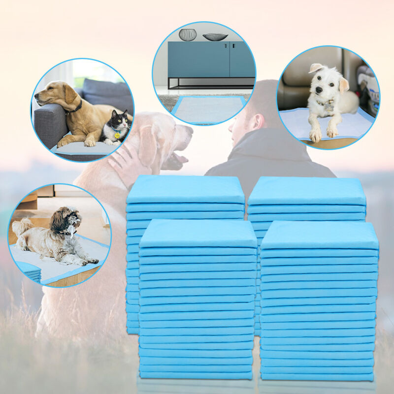 foto del prodotto swanew tappetini per cuccioli tappetino per cani per l'addestramento alla toilette dei cani tappetini per cuccioli 6060/4560cm