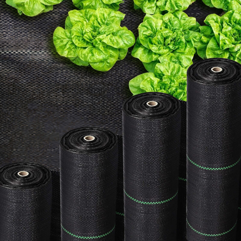 foto del prodotto swanew tessuto pacciamante 1 x 50 m 100g/m - telone geotessile anti-uv contro le erbe infestanti