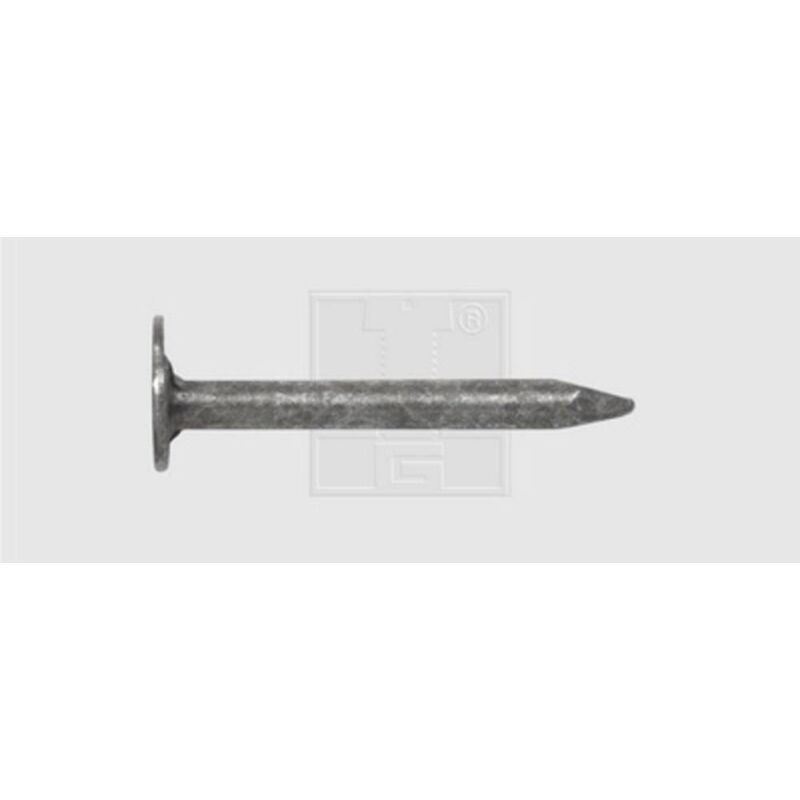 foto del prodotto swg chiodo per cartone catramato x l 2 mm x 20 mm acciaio zincato a caldo 1 kg