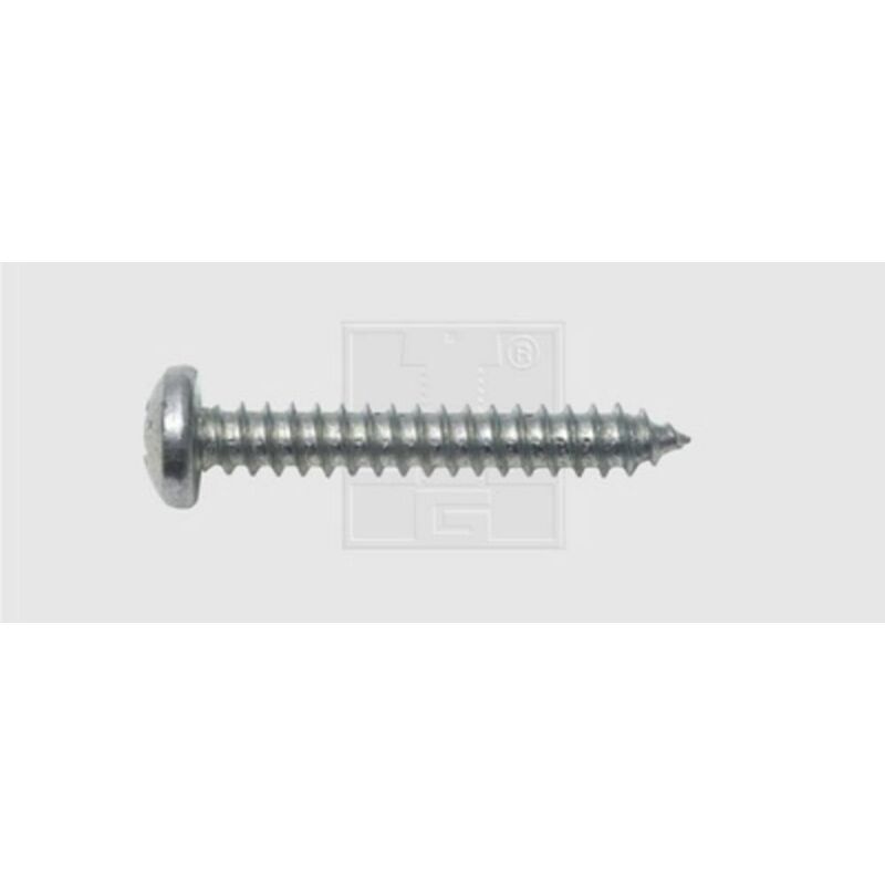 foto del prodotto swg vite per lamiera 3.9 mm 19 mm a croce phillips din 7981 acciaio zincato 100 pz.