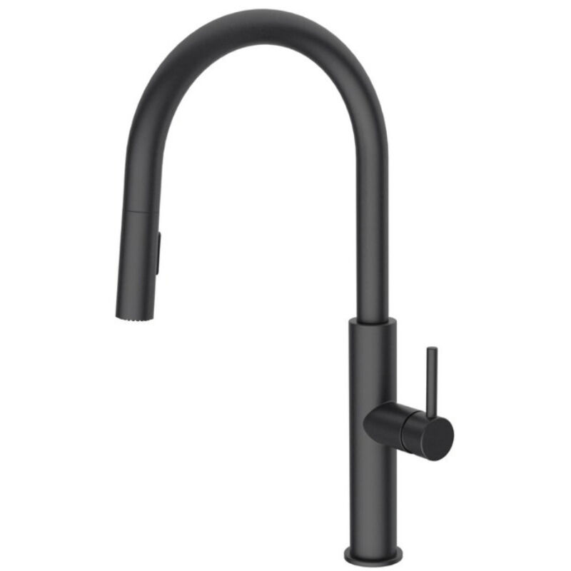 foto del prodotto swiss aqua technologies miscelatore da cucina con doccia estraibile a 2 getti, nero opaco satbsd286c 