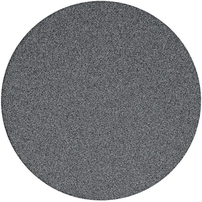 foto del prodotto swiss aqua technologies pietra abrasiva di ricambio per doccia pedicure, grana spessa satwtssr36 