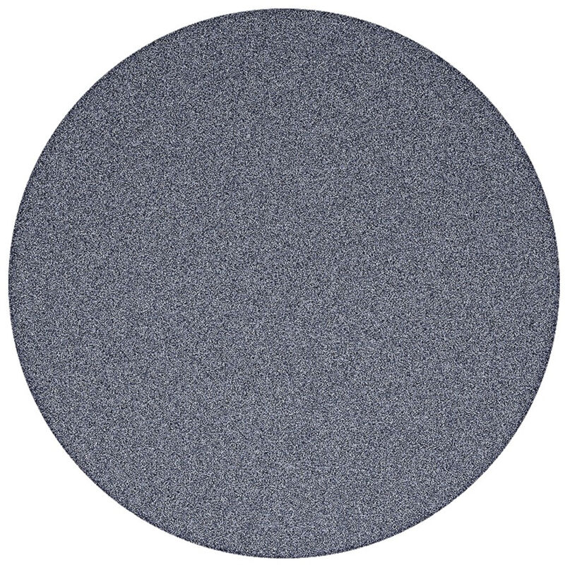 foto del prodotto swiss aqua technologies pietra abrasiva di ricambio per doccia pedicure, grana standard satwtsso46 
