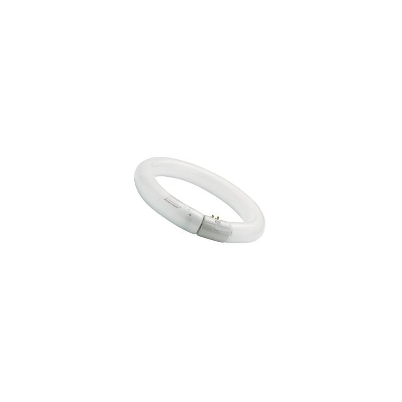 foto del prodotto sylvania circolare 32 w 12 bianco freddo 840