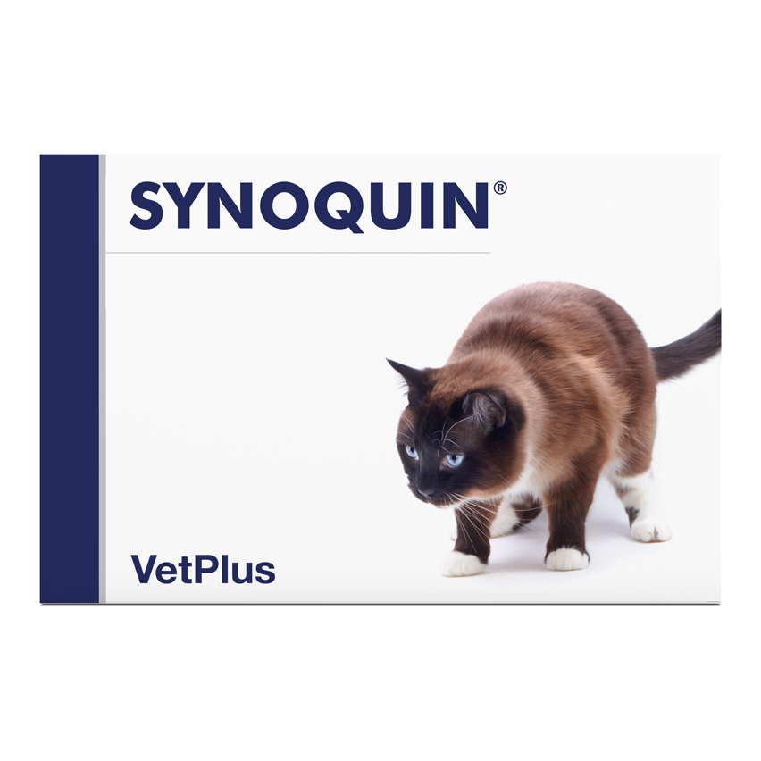 foto del prodotto synoquin efa cat 30 capsule