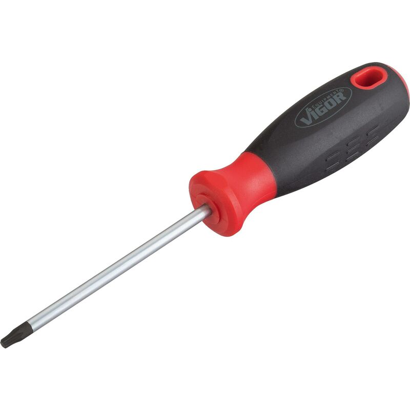 foto del prodotto t screwdriver v3369 profilo interno torx size t20